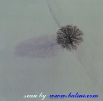 Gathering, Nightime Birds, Sony, HeH 52