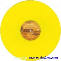 , LP6503