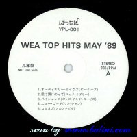 , YPL-001