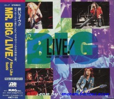 Mr. Big, Live, Atlantic, AMCY-159