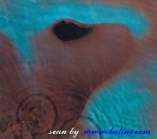 Pink Floyd, Meddle, EMI, SIAE 13SC0009