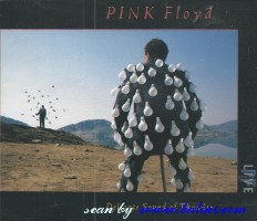 Pink Floyd, Delicate Sound of Thunder, EMI, CDS 7 91480 2